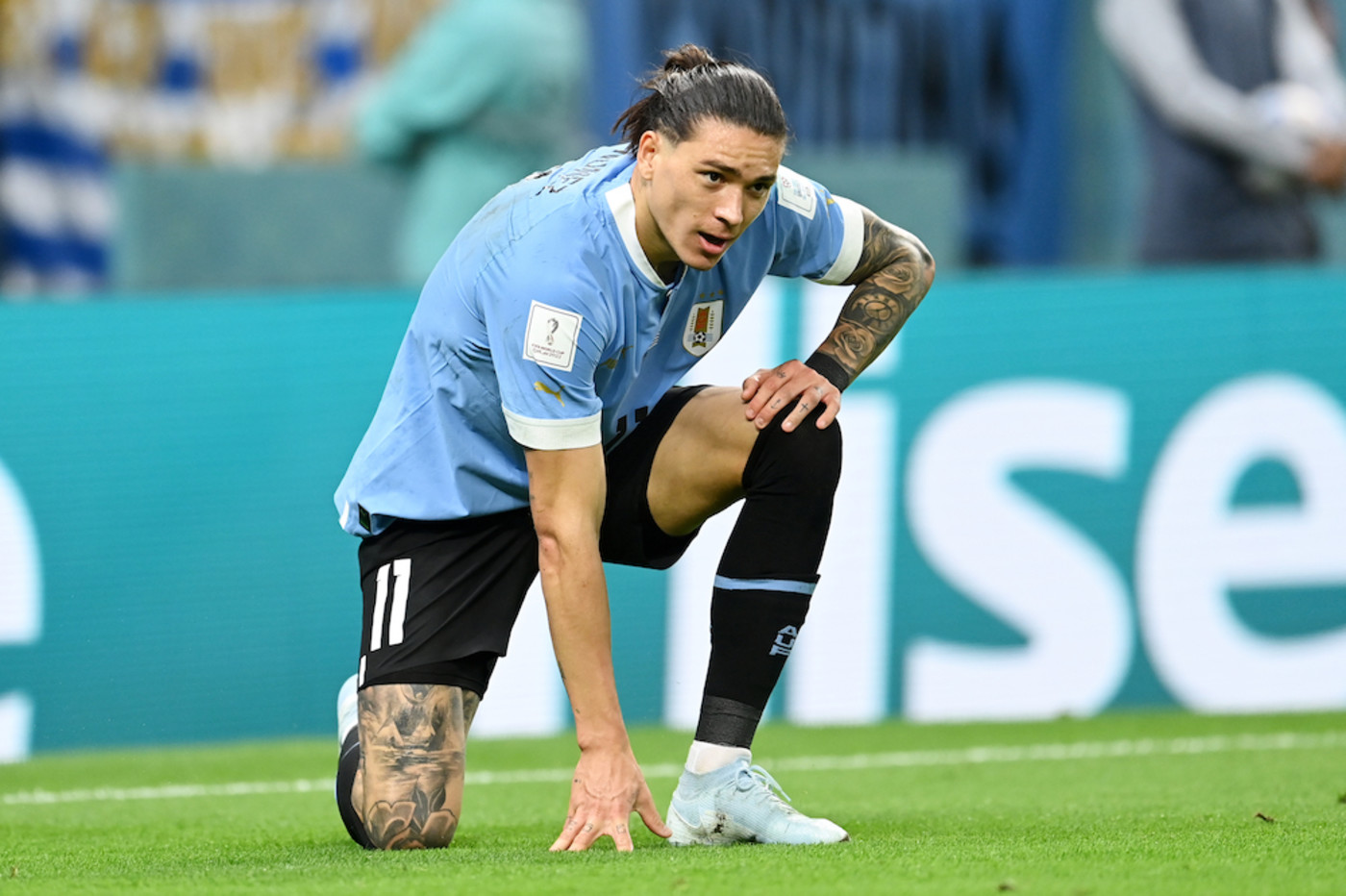 Bild till nyheten Darwin får en veckas semester